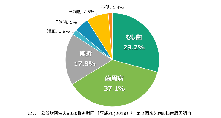 永久歯の抜歯原因調査画像